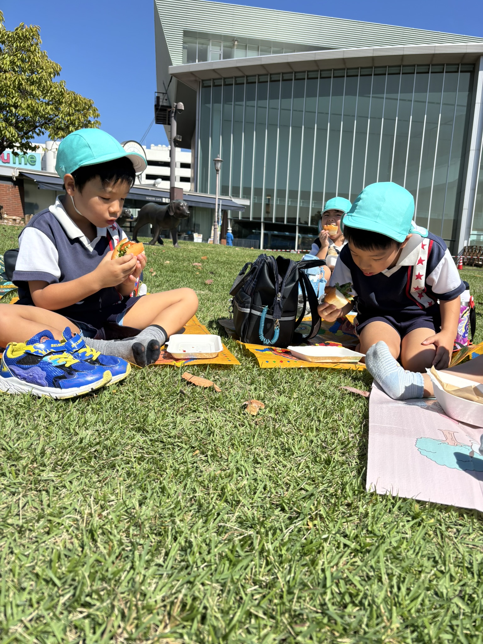 しろはとのイベント