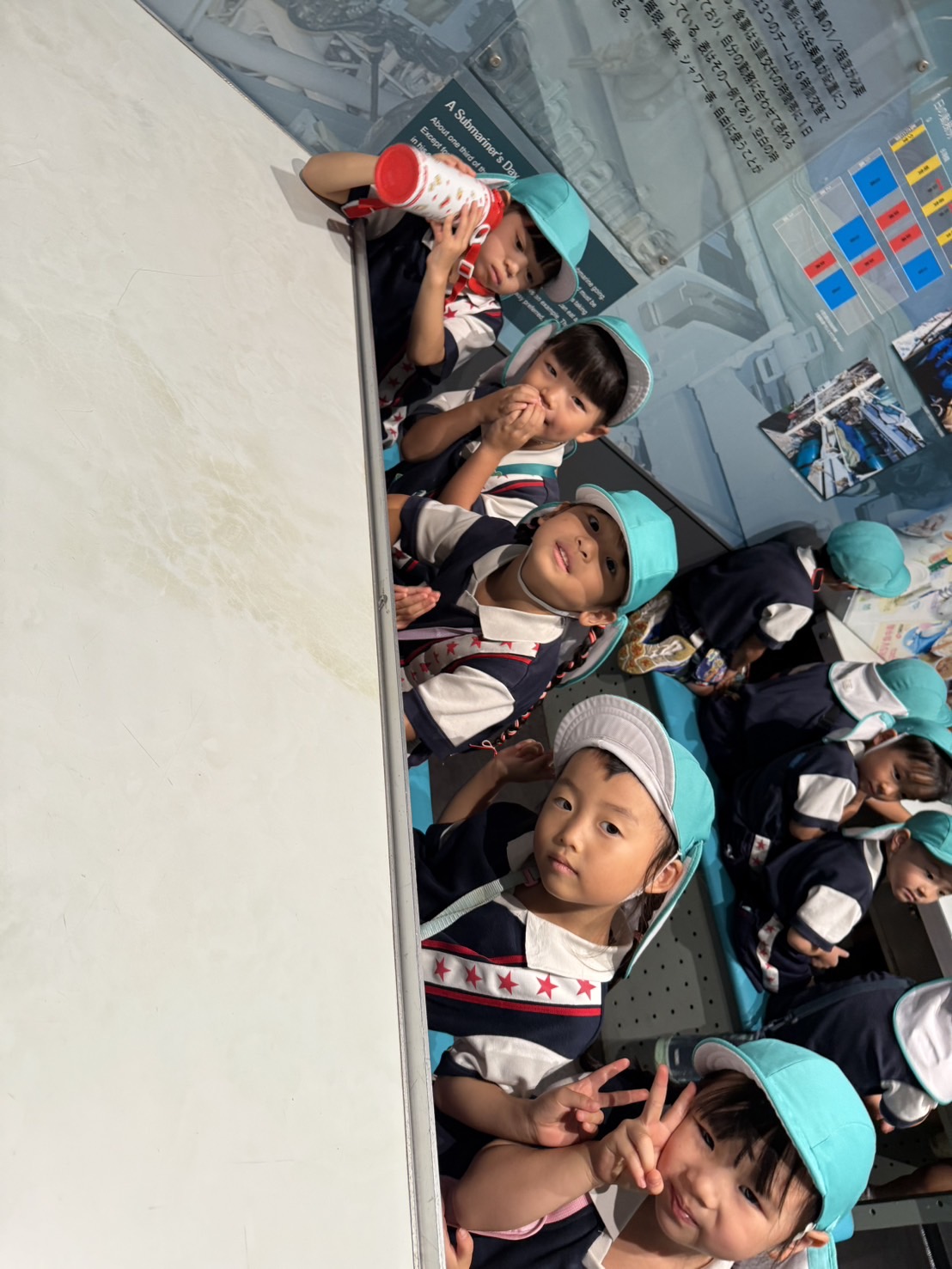 しろはとのイベント