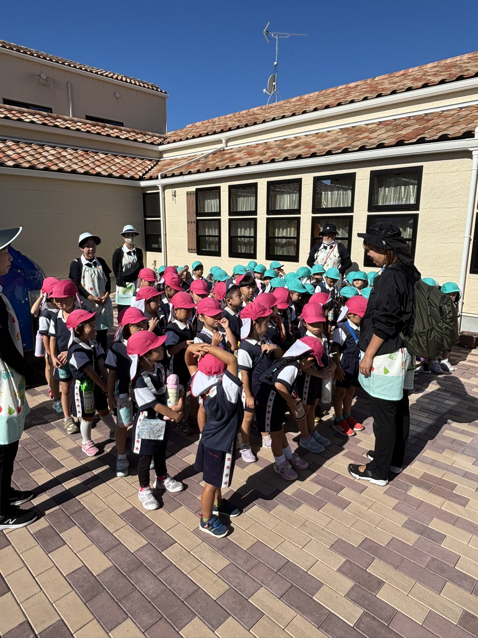 しろはとのイベント